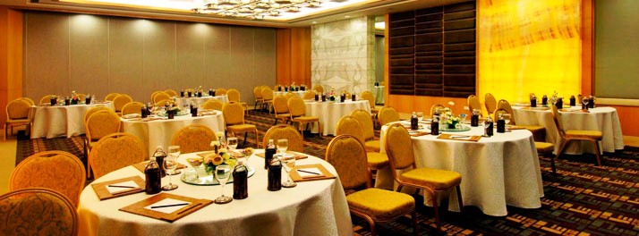469/Radisson Blu Hotel - Pune 05.jpg
